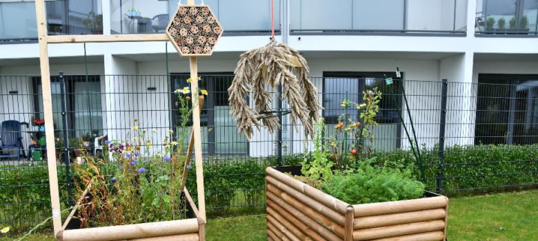 Projekt Alt und Jung im Kieler Blick