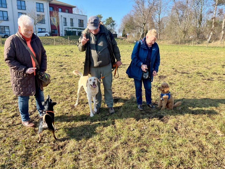 Hundefreilaufläche Gettorf Hundefreilaufläche Gettorf