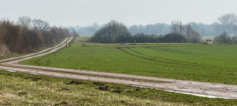 Fläche für Solarpark am Bahndamm Neudorf