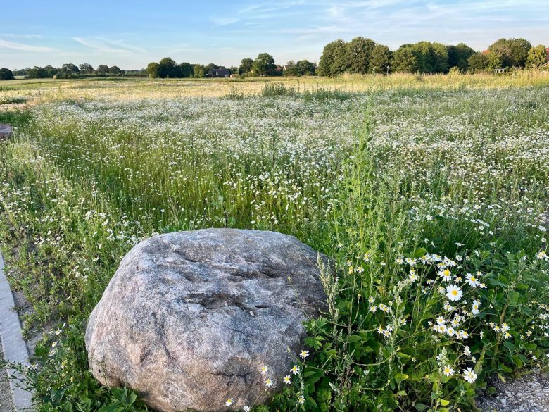 Baugebiet Gettorfer Weg / Bantesholm