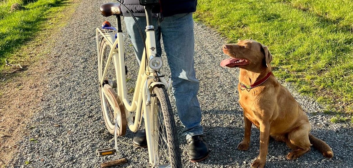 Feldweg mit Radfahrer und Hund