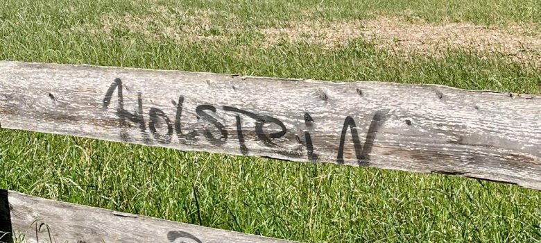 Vandalismus Vandalismus